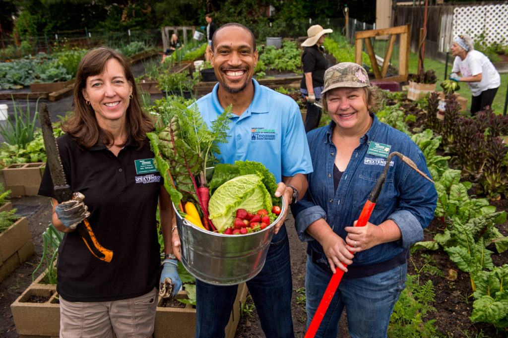 Master Gardener Program | Shelby County