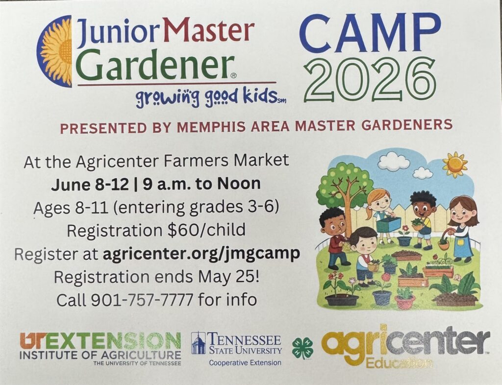 JMG Camp 2026 Flyer 
