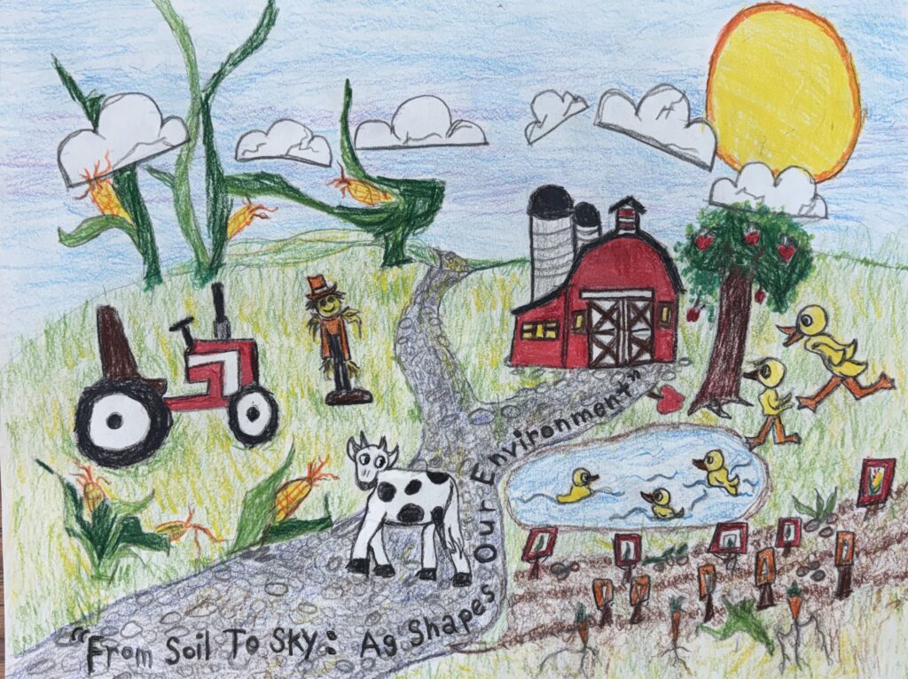 3rd Place
Jacob Payne 
Northaven Elementary