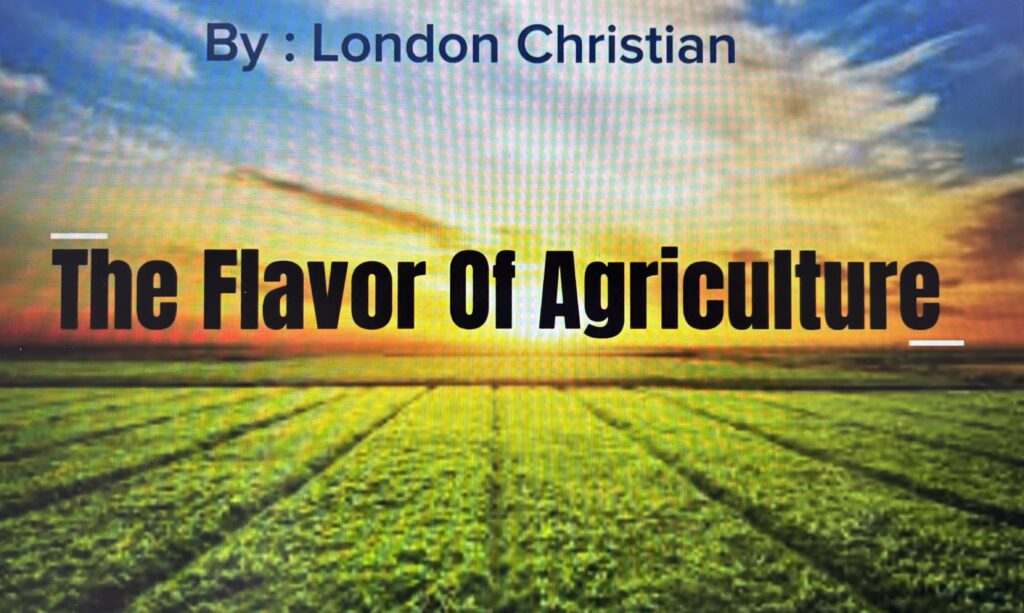 1st Place
London Christian
HomeLife Academy