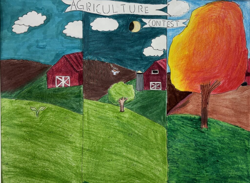 3rd place
Santiago Borunda
Arlington Middle School