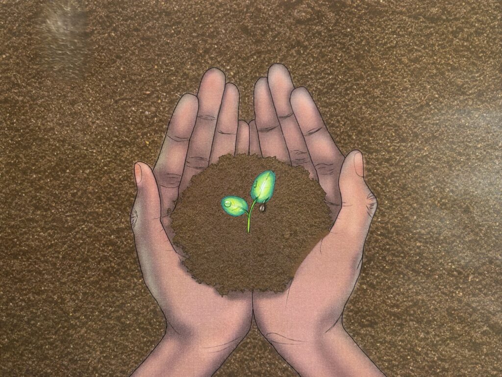 2nd place
Ye'Asante Franklin
City University Schools of Liberal Arts